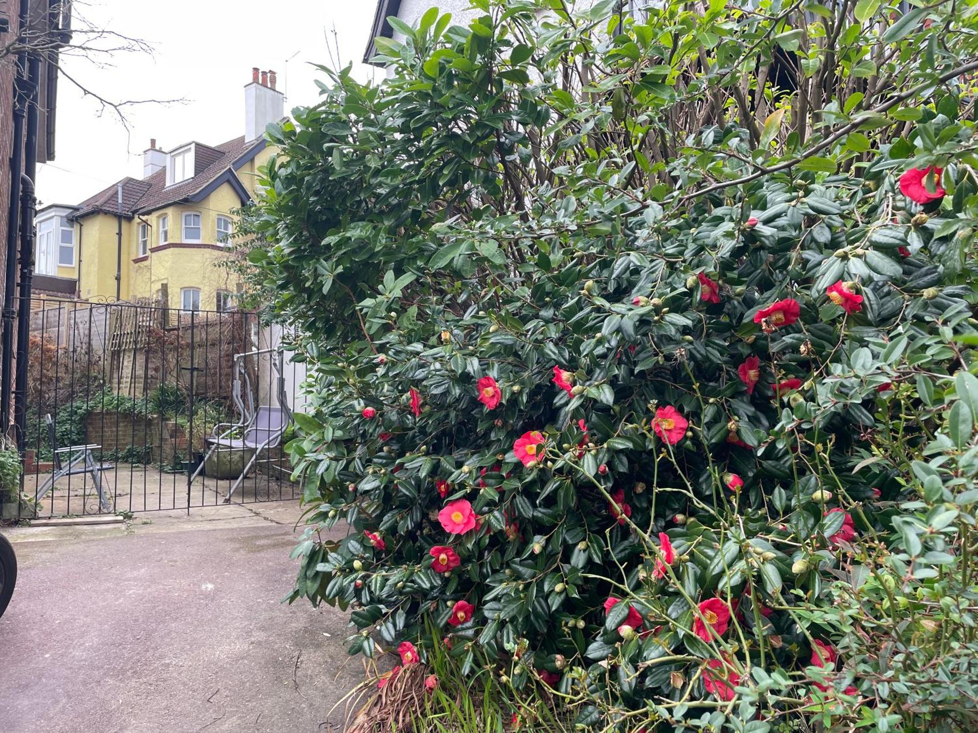 Bed and Breakfast Livadia House At St Leonards On Sea Екстер'єр фото
